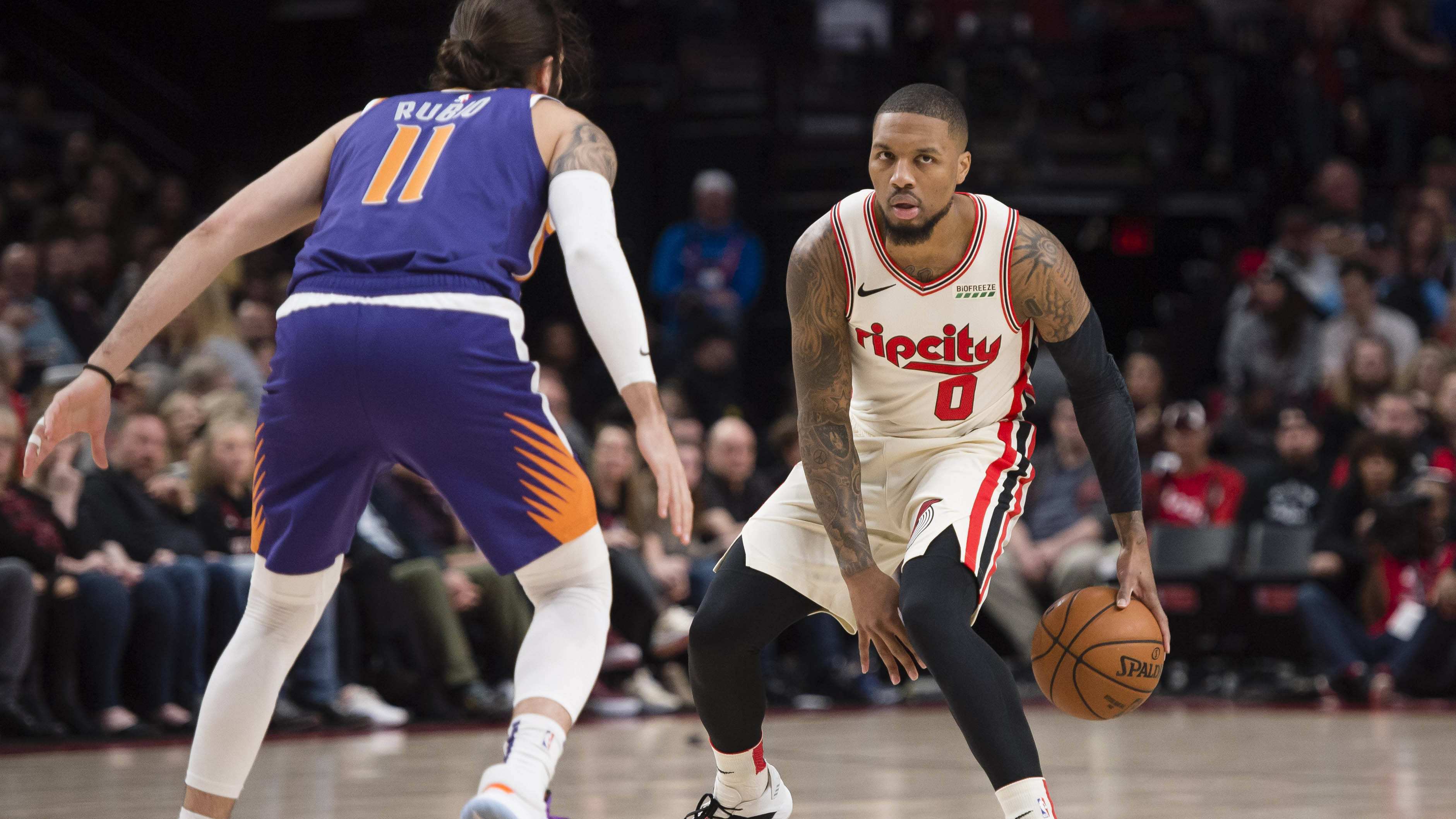 他们近年来 他们近年来