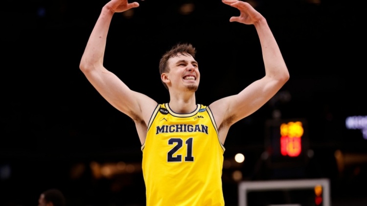 术多样性 术多样性